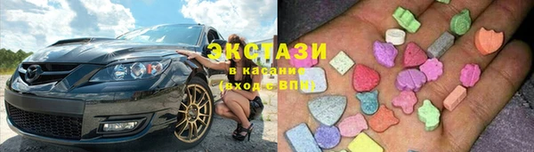 стафф Гусев