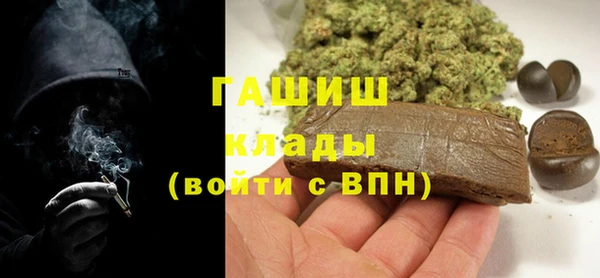стафф Гусев