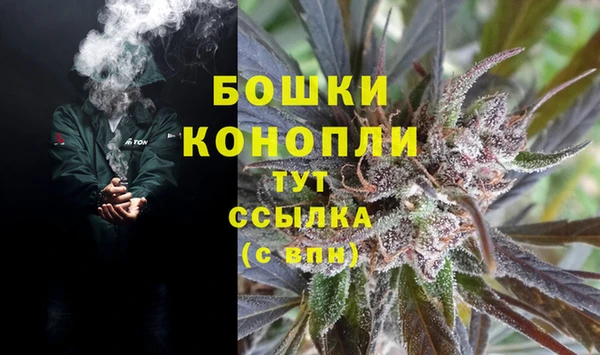 стафф Гусев