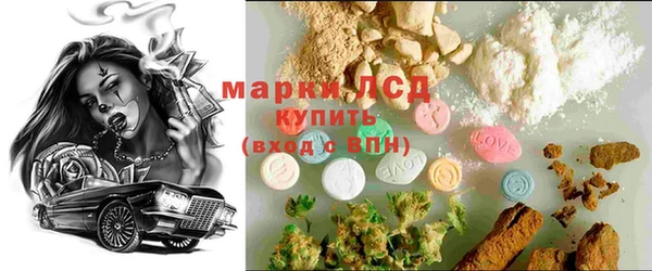 гидропоника Гусиноозёрск