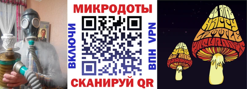 Псилоцибиновые грибы Psilocybe  Жердевка 